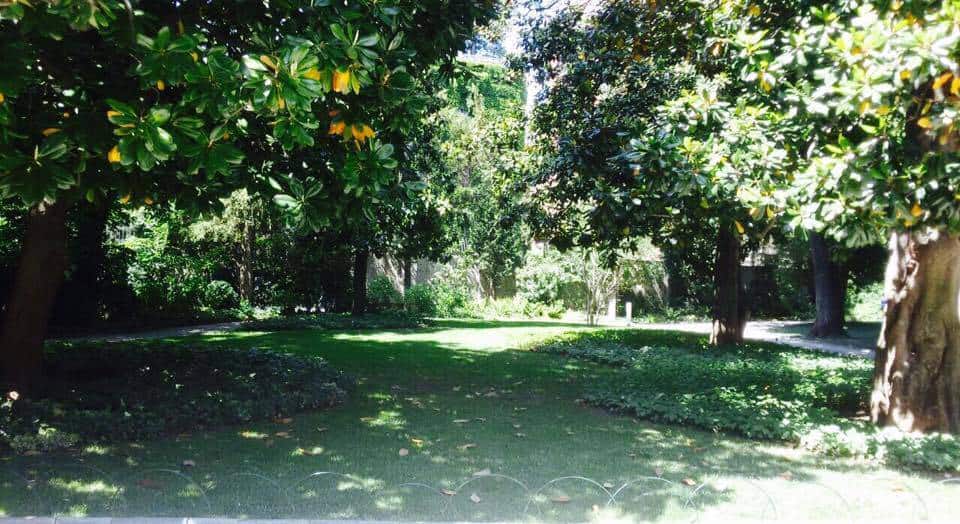 Verde Necchi, storie e segreti di un giardino nel centro di Milano