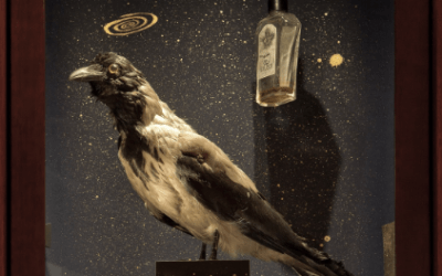 Love, Museums and Inspiration. Orhan Pamuk’s Museum of Innocence in Milan