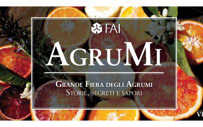 AgruMI 2018