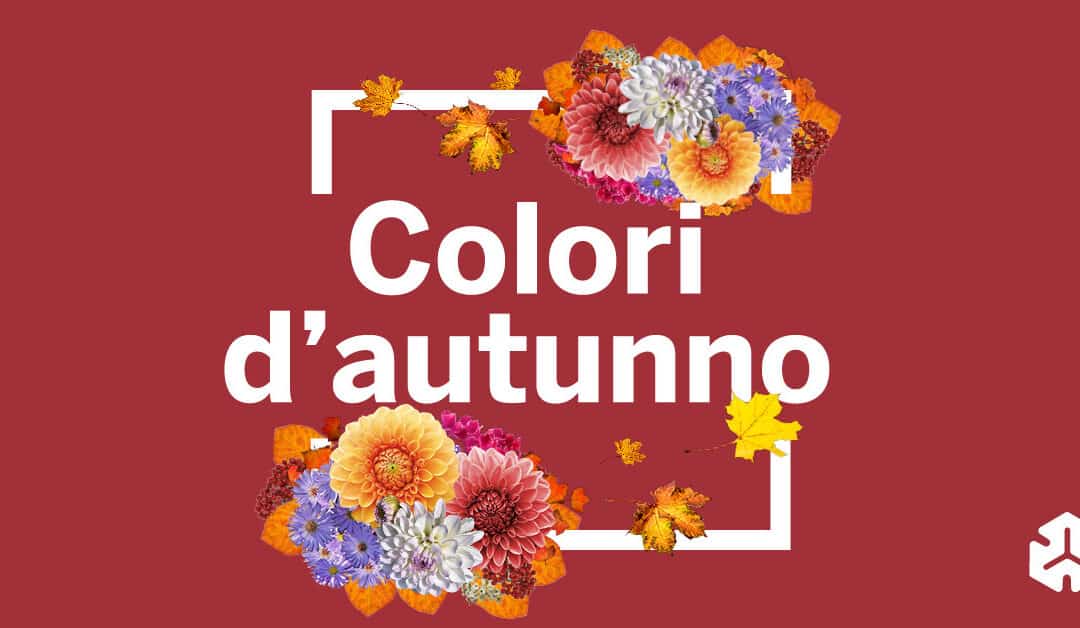 Colori d’autunno