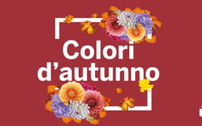 Colori d’autunno